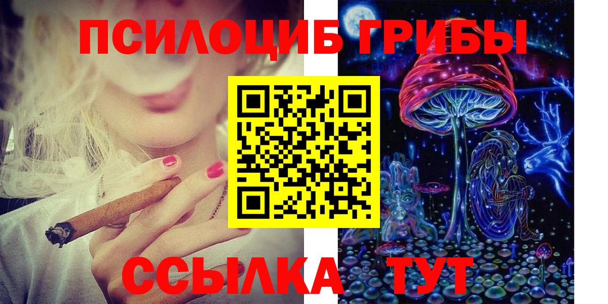 цена наркотик  Псилоцибиновые грибы прущие грибы  Вход с VPN  Острогожск 