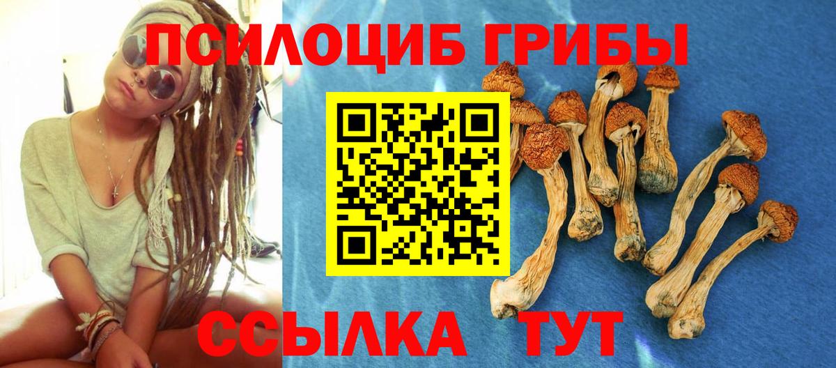 Псилоцибиновые грибы Cubensis Острогожск